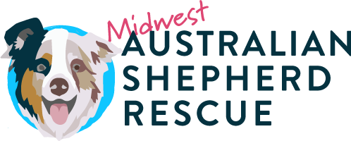 Australian Shepherd Rescue